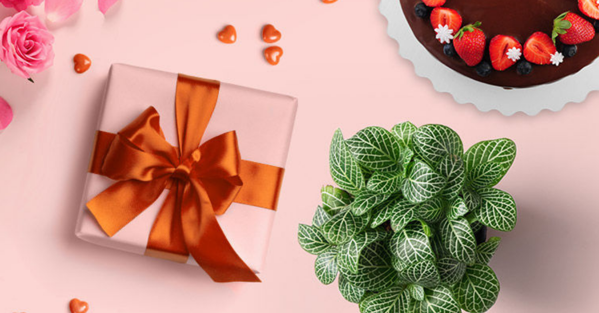 Valentine's Day 22.4% Cashback